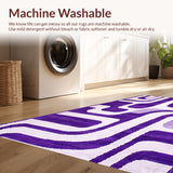 Ultra Soft Area Rug, Non Slip, Stain Resistant, Washable Area Rugs for Living Room, Bedroom, Soft Purple Shaggy Textures(Purple)