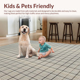 Ultra Soft Area Rug, Non Slip, Stain Resistant, Washable Area Rugs for Living Room, Bedroom, Contemporary Soft Textured Lattice(Beige)