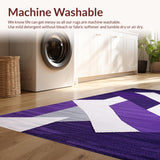Ultra Soft Area Rug, Non Slip, Stain Resistant, Washable Area Rugs for Living Room, Bedroom, Vibrant Minimalist Artful Design(Purple)