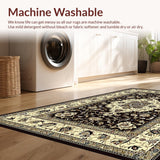 Ultra Soft Area Rug, Non Slip, Stain Resistant, Washable Area Rugs for Living Room, Bedroom, Luxurious Earth Tone Floral Design(Beige)