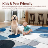 Ultra Soft Area Rug, Non Slip, Stain Resistant, Washable Area Rugs for Living Room, Bedroom, Sleek Snowy Textural Harmony(Blue)