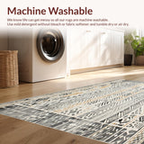 Ultra Soft Area Rug, Non Slip, Stain Resistant, Washable Area Rugs for Living Room, Bedroom, Boho Kitchen Runner of Non Slip Beige Grey(Gray)