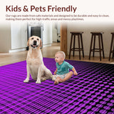 Ultra Soft Area Rug, Non Slip, Stain Resistant, Washable Area Rugs for Living Room, Bedroom, Bold Purple Modern Design(Purple)