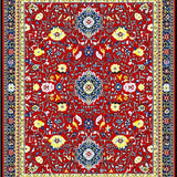 Ultra Soft Area Rug, Non Slip, Stain Resistant, Washable Area Rugs for Living Room, Bedroom, Colorful Coastal Medallion Arrangement(Red)