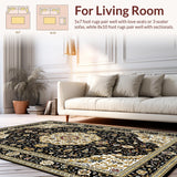 Ultra Soft Area Rug, Non Slip, Stain Resistant, Washable Area Rugs for Living Room, Bedroom, Luxurious Earth Tone Ornate Patterns(Black)