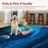 Ultra Soft Area Rug, Non Slip, Stain Resistant, Washable Area Rugs for Living Room, Bedroom, Stylish Earthy Abstract Motif(Blue)