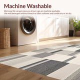 Ultra Soft Area Rug, Non Slip, Stain Resistant, Washable Area Rugs for Living Room, Bedroom, Medium Pile Neutral Area(Gray)