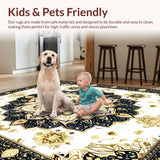 Ultra Soft Area Rug, Non Slip, Stain Resistant, Washable Area Rugs for Living Room, Bedroom, Dynamic Symmetrical Flourish(Gold)