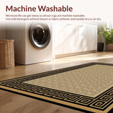 Ultra Soft Area Rug, Non Slip, Stain Resistant, Washable Area Rugs for Living Room, Bedroom, Elegant Classic Lattice Pattern(Gold)