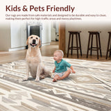 Ultra Soft Area Rug, Non Slip, Stain Resistant, Washable Area Rugs for Living Room, Bedroom, Boho Chic Abstract Beige and Gray with a Southwestern Twist(Gray)