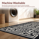 Vibrant Abstract Zebra Motif(Black)