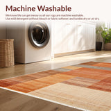 Ultra Soft Area Rug, Non Slip, Stain Resistant, Washable Area Rugs for Living Room, Bedroom, Solid Terracotta Shag Rug for Living Room(Brown)