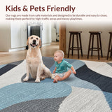 Ultra Soft Area Rug, Non Slip, Stain Resistant, Washable Area Rugs for Living Room, Bedroom, Soft Washable Kids Room Faux Wool Floor Rug(Gray)