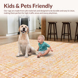 Ultra Soft Area Rug, Non Slip, Stain Resistant, Washable Area Rugs for Living Room, Bedroom, Contemporary Peach Carpet Boasting Gold Circular Motifs And Fine Line Details(Beige)