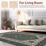 Ultra Soft Area Rug, Non Slip, Stain Resistant, Washable Area Rugs for Living Room, Bedroom, Shaggy Black Trellis Bedroom Carpet for Minimalist Living(Black)