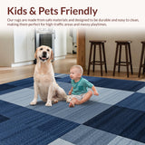 Ultra Soft Area Rug, Non Slip, Stain Resistant, Washable Area Rugs for Living Room, Bedroom, Elegant Modernist Square Style(Blue)
