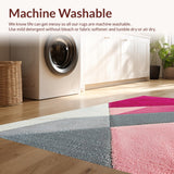 Ultra Soft Area Rug, Non Slip, Stain Resistant, Washable Area Rugs for Living Room, Bedroom, Shaggy Modern Dorm Rug for Girls Room(Pink)
