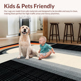 Ultra Soft Area Rug, Non Slip, Stain Resistant, Washable Area Rugs for Living Room, Bedroom, Abstract Rainbow Color Fusion(Gray)