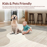 Ultra Soft Area Rug, Non Slip, Stain Resistant, Washable Area Rugs for Living Room, Bedroom, Soft Neutral Textured Layers(Beige)