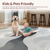 Ultra Soft Area Rug, Non Slip, Stain Resistant, Washable Area Rugs for Living Room, Bedroom, Dynamic Silver-Black Swirl Patterns(Gray)