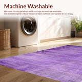 Ultra Soft Area Rug, Non Slip, Stain Resistant, Washable Area Rugs for Living Room, Bedroom, Playful Ultra-Soft Color Blend(Purple)