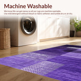 Ultra Soft Area Rug, Non Slip, Stain Resistant, Washable Area Rugs for Living Room, Bedroom, Cozy Plush Textured Accent Piece(Purple)