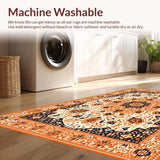 Ultra Soft Area Rug, Non Slip, Stain Resistant, Washable Area Rugs for Living Room, Bedroom, Chic Colorful Pom Pom Arrangement(Orange)