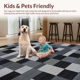 Ultra Soft Area Rug, Non Slip, Stain Resistant, Washable Area Rugs for Living Room, Bedroom, Luxe Minimalist Textured Elegance(Black)