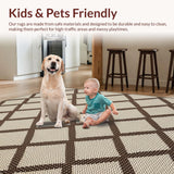Ultra Soft Area Rug, Non Slip, Stain Resistant, Washable Area Rugs for Living Room, Bedroom, Modern Natural Weave Arrangement(Beige)