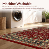 Ultra Soft Area Rug, Non Slip, Stain Resistant, Washable Area Rugs for Living Room, Bedroom, Abstract Paisley Area for(Red)