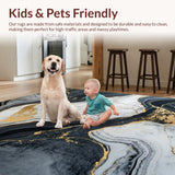 Ultra Soft Area Rug, Non Slip, Stain Resistant, Washable Area Rugs for Living Room, Bedroom, Minimalist Abstract Swirl Artistry(Black)