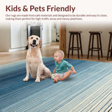 Ultra Soft Area Rug, Non Slip, Stain Resistant, Washable Area Rugs for Living Room, Bedroom, Soft Striped Area Rug: Contemporary Ombre Carpet(Blue)
