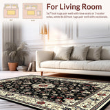 Ultra Soft Area Rug, Non Slip, Stain Resistant, Washable Area Rugs for Living Room, Bedroom, Dramatic Black Ivory Geometric Fusion(Black)