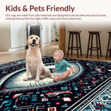 Ultra Soft Area Rug, Non Slip, Stain Resistant, Washable Area Rugs for Living Room, Bedroom, Farmhouse Tufted Laundry Room Accent Rug(Black)