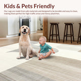 Ultra Soft Area Rug, Non Slip, Stain Resistant, Washable Area Rugs for Living Room, Bedroom, Subtle Echoes Abstract Form Pale Palette(Beige)