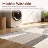 Ultra Soft Area Rug, Non Slip, Stain Resistant, Washable Area Rugs for Living Room, Bedroom, Modern Abstract Beige Area Geometric Slate Design(Gray)