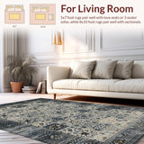 Ultra Soft Area Rug, Non Slip, Stain Resistant, Washable Area Rugs for Living Room, Bedroom, Luxurious Cosmic Textured Visuals(Gray)