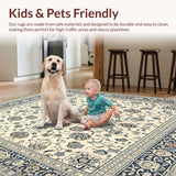 Ultra Soft Area Rug, Non Slip, Stain Resistant, Washable Area Rugs for Living Room, Bedroom, Boho Non Slip(Beige)