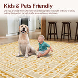 Ultra Soft Area Rug, Non Slip, Stain Resistant, Washable Area Rugs for Living Room, Bedroom, Modern Beige Area with Intricate Geometric and Warm Accents(Beige)