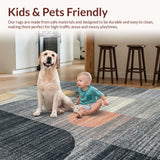 Ultra Soft Area Rug, Non Slip, Stain Resistant, Washable Area Rugs for Living Room, Bedroom, Elegant Carbon Grey Rug with Peach & Cream Tones(Gray)