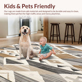 Ultra Soft Area Rug, Non Slip, Stain Resistant, Washable Area Rugs for Living Room, Bedroom, Premium Boho Inspired Neutral with Artistic Geometric Elements(Gray)
