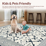 Ultra Soft Area Rug, Non Slip, Stain Resistant, Washable Area Rugs for Living Room, Bedroom, Rustic Neutral Diamond Design(White)