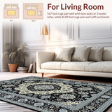Ultra Soft Area Rug, Non Slip, Stain Resistant, Washable Area Rugs for Living Room, Bedroom, Striking Ogee Pattern in Monochrome(Black)