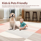 Ultra Soft Area Rug, Non Slip, Stain Resistant, Washable Area Rugs for Living Room, Bedroom, Geometric Harmony Cream & Pink Accent Area Beige Touch(Gray)