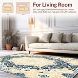 Ultra Soft Area Rug, Non Slip, Stain Resistant, Washable Area Rugs for Living Room, Bedroom, Cream Cozy Fuzzy Area(Beige)