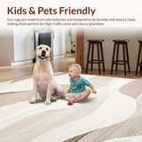 Ultra Soft Area Rug, Non Slip, Stain Resistant, Washable Area Rugs for Living Room, Bedroom, Rustic Warm Toned Shag Appeal(Beige)
