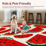 Ultra Soft Area Rug, Non Slip, Stain Resistant, Washable Area Rugs for Living Room, Bedroom, Charming Outdoor Picnic Vibe(Red)