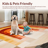 Ultra Soft Area Rug, Non Slip, Stain Resistant, Washable Area Rugs for Living Room, Bedroom, Vibrant Earthy Tufted Design(Orange)