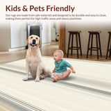 Ultra Soft Area Rug, Non Slip, Stain Resistant, Washable Area Rugs for Living Room, Bedroom, Contemporary Beige Area Linear Stripe(Beige)