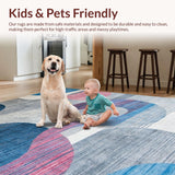 Ultra Soft Area Rug, Non Slip, Stain Resistant, Washable Area Rugs for Living Room, Bedroom, Trendy Minimalist Abstract Palette(Gray)